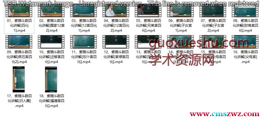 《圣威门紫微斗数四化讲解》18集视频插图