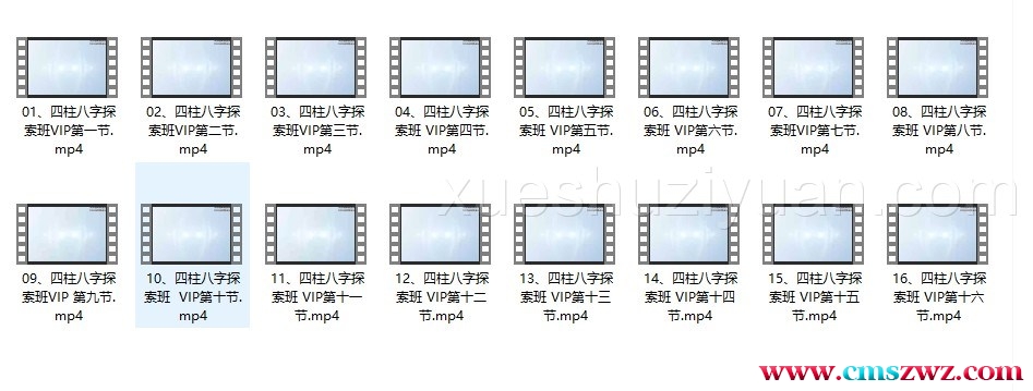 林沐雨《四柱八字探索班VIP课程》16集插图