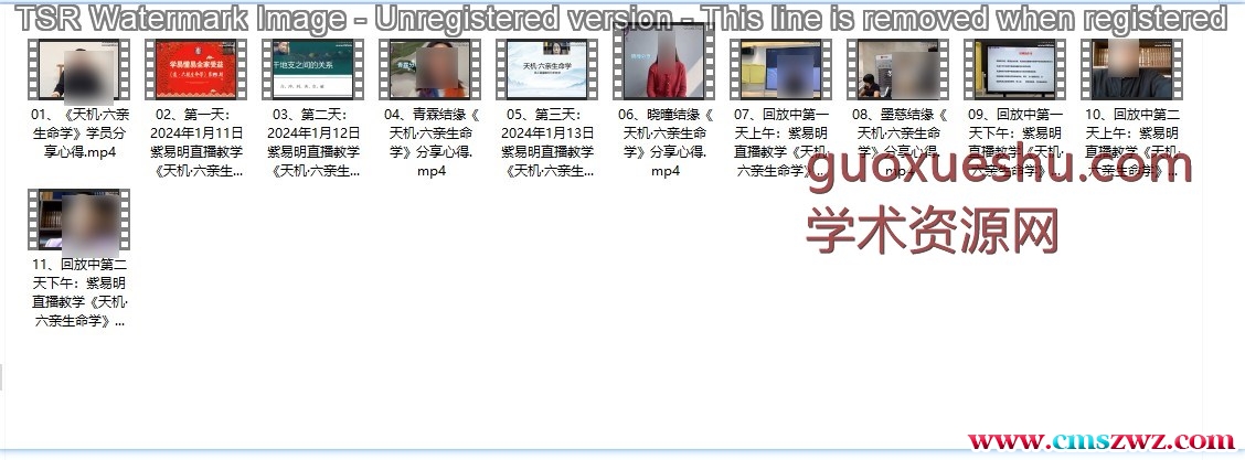 明了《天机八字六亲生命学》11集插图