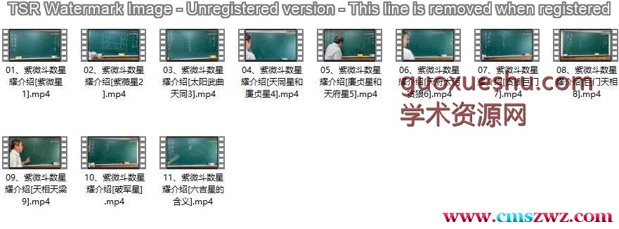 《圣威门紫微斗数星曜》11集视频课程插图