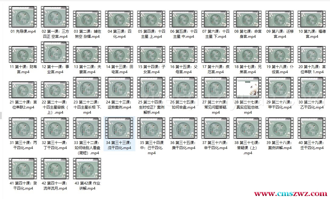 中州派紫微课程43集视频课程插图