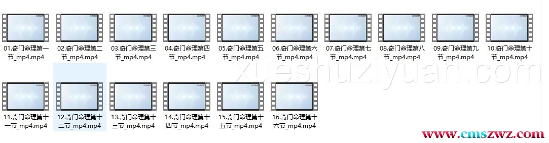林沐雨奇门命理视频16集插图