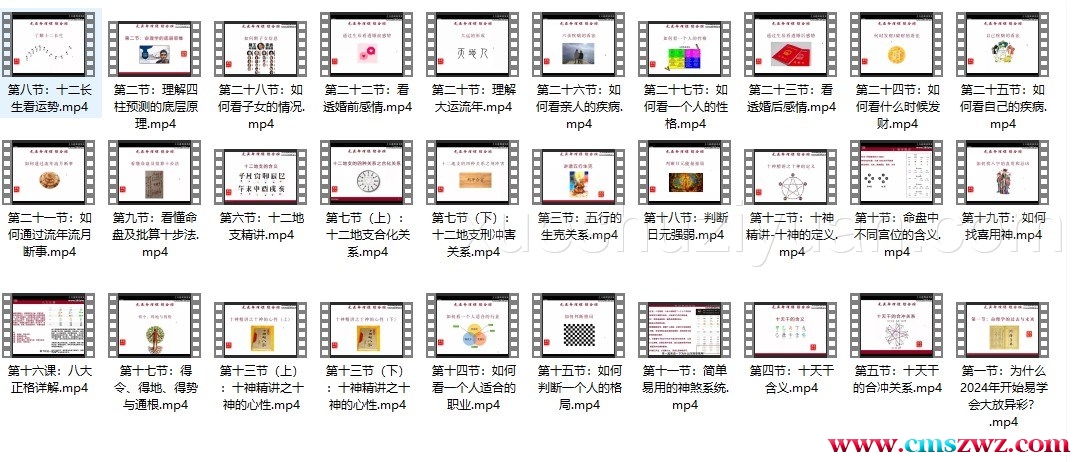 赵元亚四柱预测学综合班30集视频插图