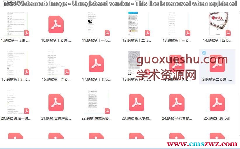 九紫徒弟 踏歌独行七政四余 26本插图