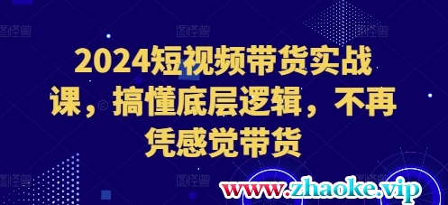 2024短视频带货实战课，搞懂底层逻辑，不再凭感觉带货
