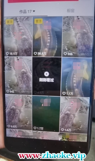 外面卖399的国学佛像原创暴力起号技术，快速起号，7天可达到一个万粉号