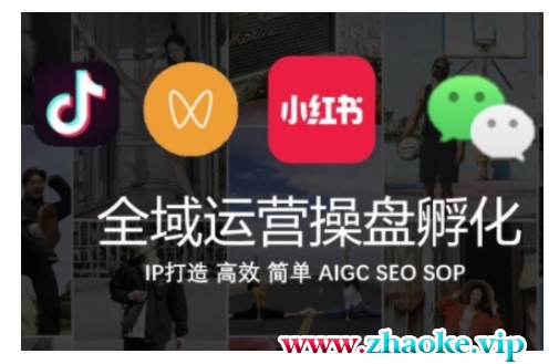 全域运营操盘(抖音+私域+小红书)，IP打造高效简单