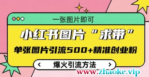 小红书图片‘求带’爆火引流法，单张图片引流500+精准创业粉【揭秘】