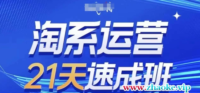 淘系运营21天速成班(更新24年11月)，0基础轻松搞定淘系运营，不做假把式