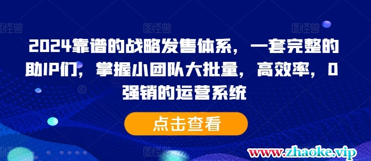 2024靠谱的战略发售体系，一套完整的助IP们，掌握小团队大批量，高效率，0 强销的运营系统