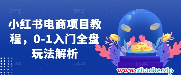 小红书电商项目教程，0-1入门全盘玩法解析