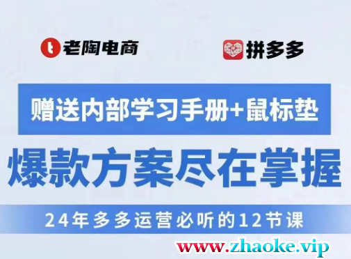 老陶 2024多多运营必听的12节课