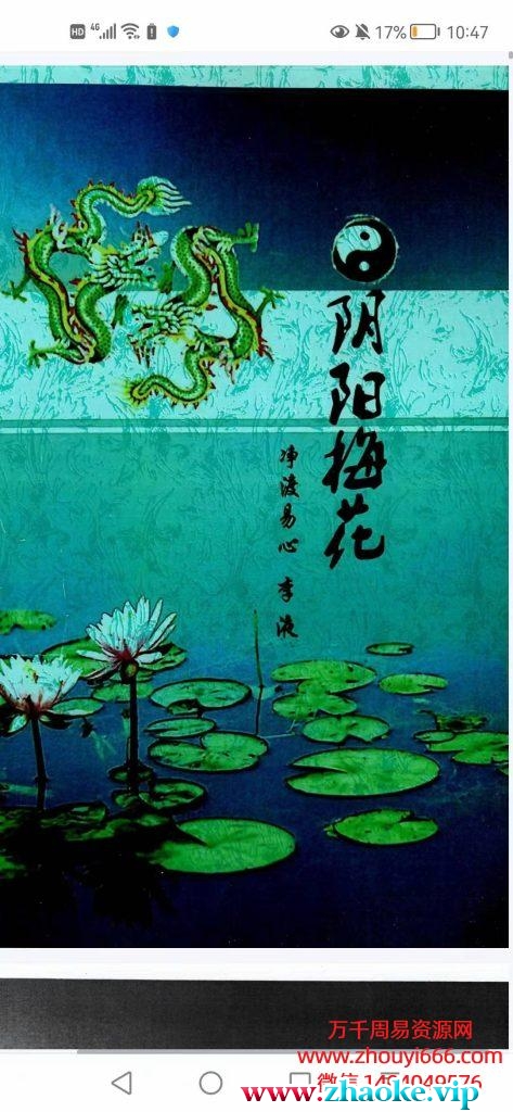李液阴阳梅花易数，PDF120页