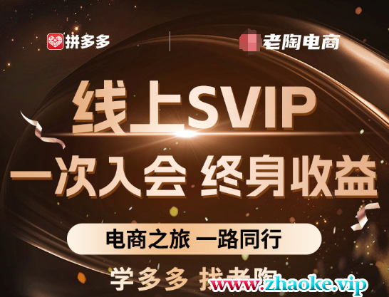 老陶电商拼多多线上SVIP25年2月更新(价值1780元)