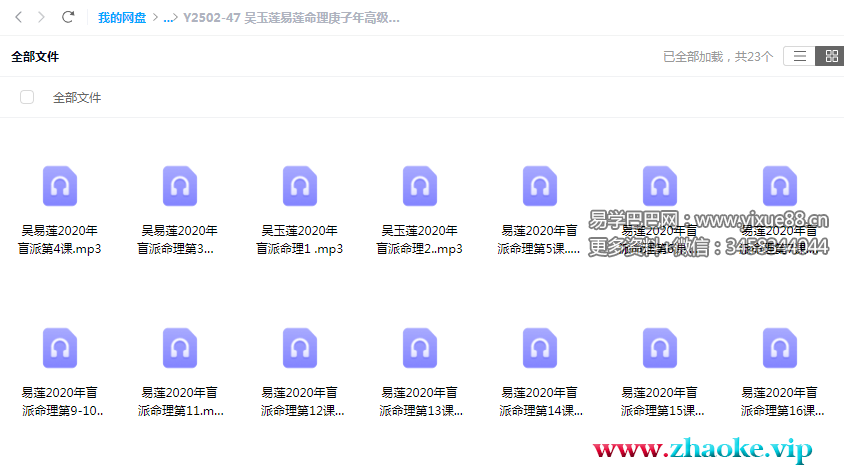 吴玉莲易莲命理庚子年高级精华班 2020年盲派命理微信内部群课程录音