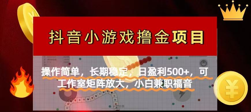 （14290期）【抖音小游戏发行人计划项目】操作简单，长期稳定，日盈利500+，可工作...