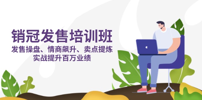 （14203期）销冠 发售培训班：发售 操盘+情商 飙升+卖点 提炼，实战提升百万业绩