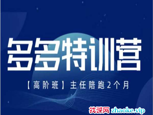 纪主任-多多特训营2025年4月18日新版(价值5288元)