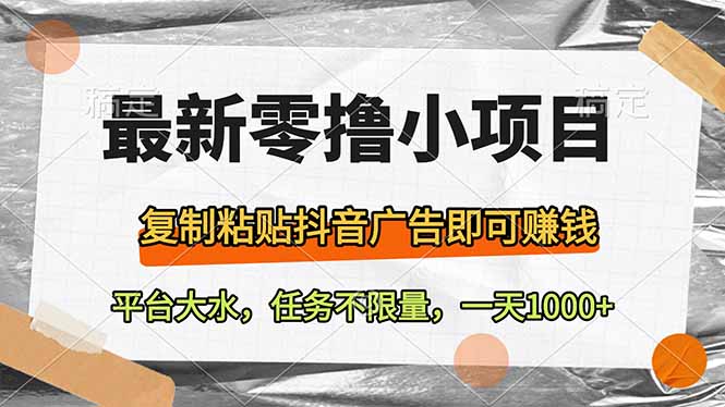 （14230期）最新零撸小项目，复制粘贴抖音广告即可赚钱，平台大水，任务不限量，一...