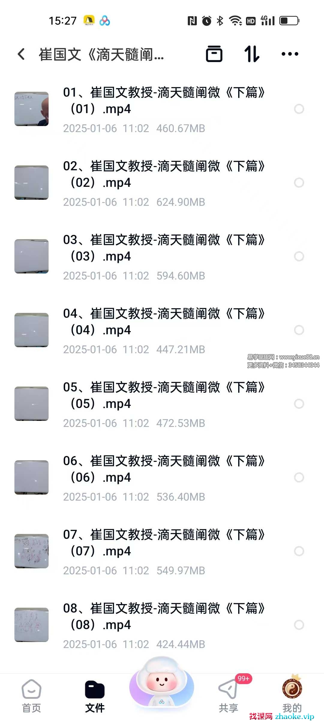 崔国文《滴天髓阐微下篇》15集