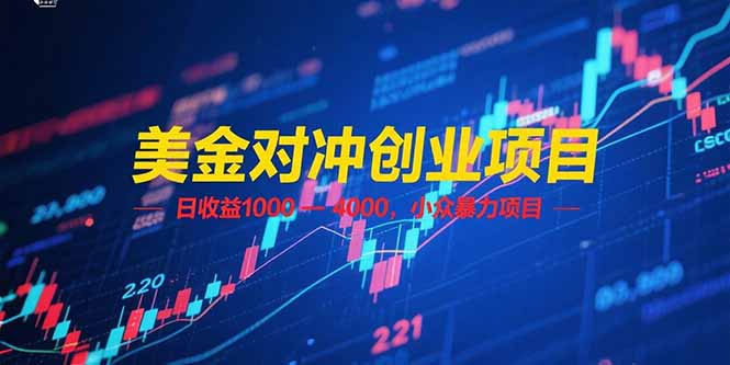 （15187期）美金对冲创业项目，日收益 1000 - 4000，小众暴力项目