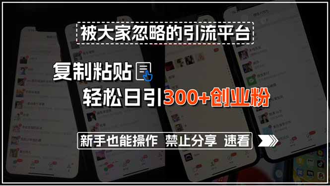 （15428期）被大家忽略的引流平台，复制粘贴轻松日引300+创业粉，新手也能操作，禁...