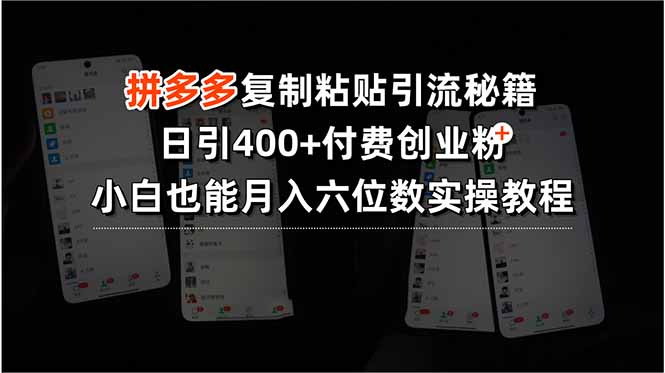 （15613期）拼多多复制粘贴引流秘籍，日引400+付费创业粉，小白也能月入六位数实操...