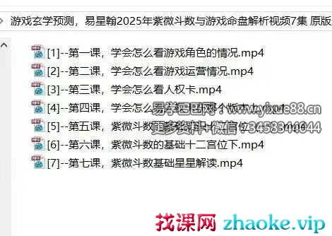 易星翰紫微斗数与游戏命盘解析 游戏预测学7集视频